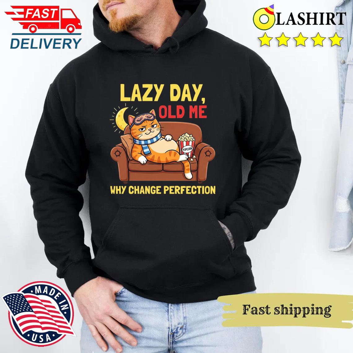 Lazy Cat Why Change Perfection Funny Cartoon For Cat Lover T-shirt Unisex Hoodie